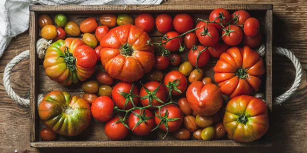 Verschiedene Tomatensorten auf Holztablett
