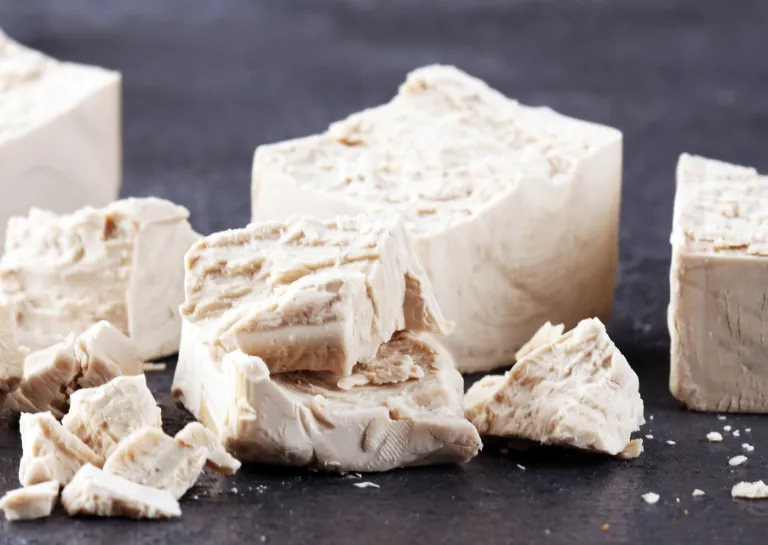 Frische Hefewürfel, teilweise zerbrochen