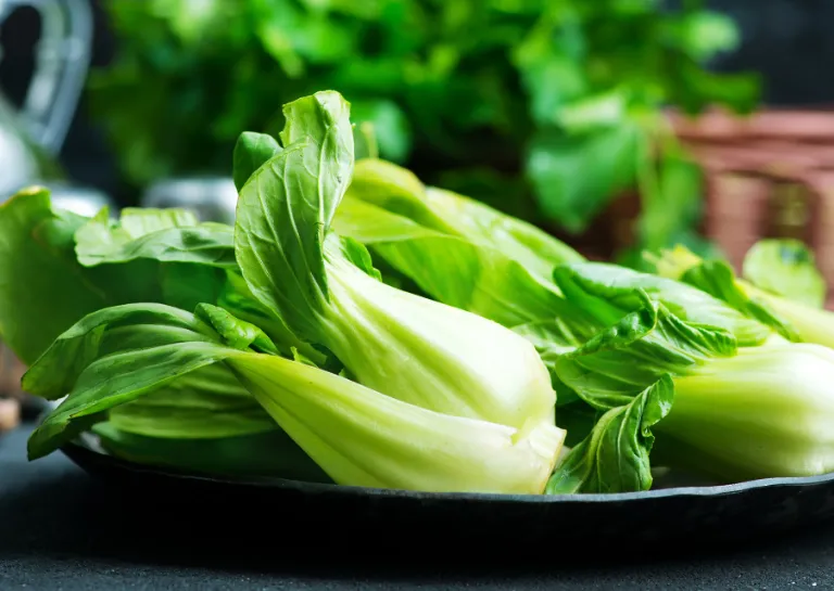 Zwei Pak Choi auf einem schwarzen Teller auf einem Küchentresen, dahinter Knoblauch und Olivenöl als Dekoration