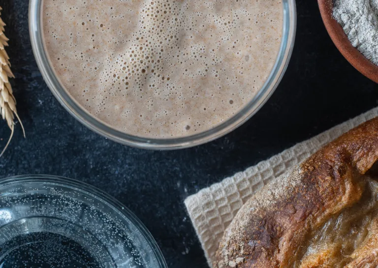 Sauerteig mit Zutaten, Wasser und Mehl, sowie einem fertig gebackenen Sauerteigbrot auf Schieferuntergrund.