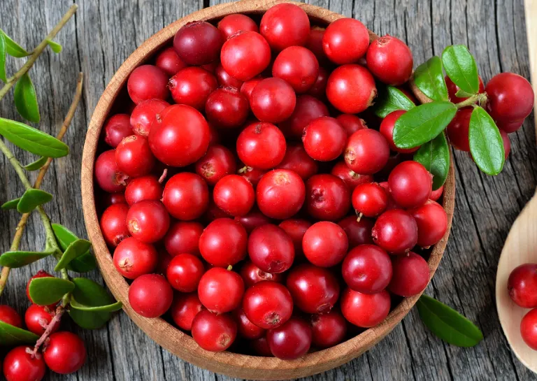 Preiselbeeren in einer Holzschale auf einem grauen Tisch.