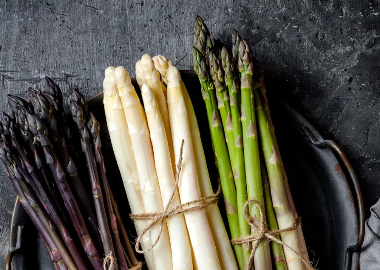 Drei Bund Spargel, ein weißes, ein grünes und ein violettes, zusammen angerichtet auf einem Schieferuntergrund