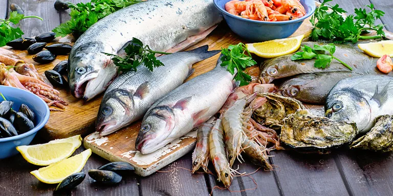 Verschiedene Fische ausgelegt auf einem Tisch