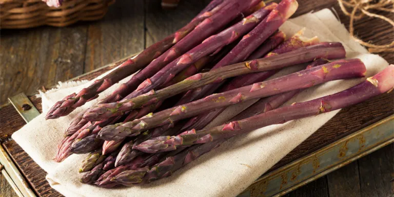 Stangen violetter Spargel liegen auf einer Stoffserviette auf einem Tisch