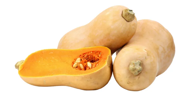 Butternutkürbis