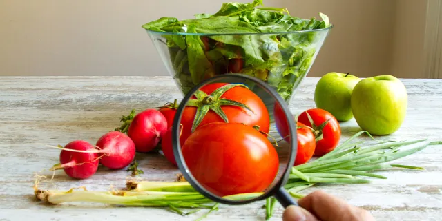 Eine Lupe ist auf eine Tomate gerichtet, im Hintergrund befindet sich eine Salatschüssel 
