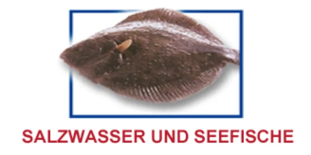 Salzwasser und Seefische