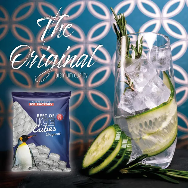 klassische Eiswürfel einem Cocktailglas mit Gurke sowie einer Produktverpackung