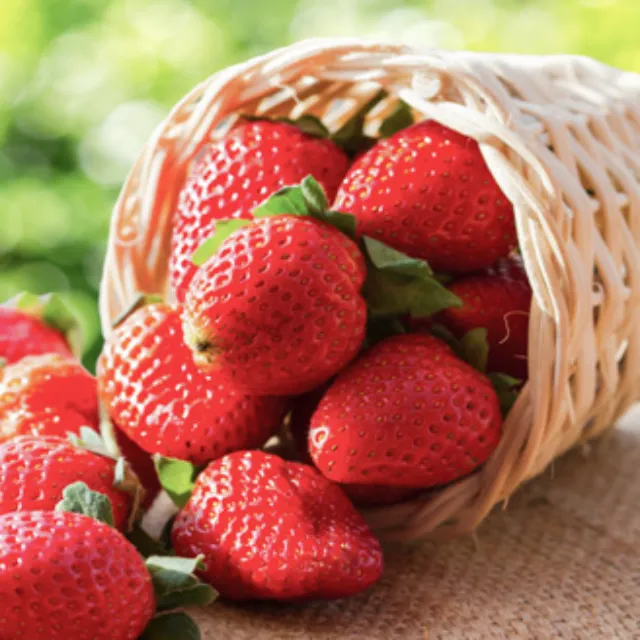 Erdbeeren in einem Weidekorb