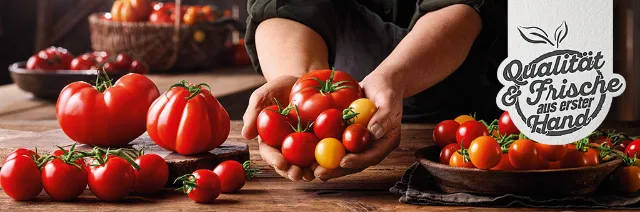 Verschiedene Tomatensorten werden auf einem Tisch und in Händen präsentiert.