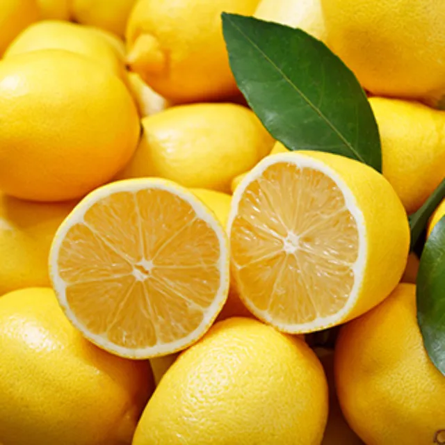 Zitronen sind belebend, erfrischend und geben vor allem Frisch- und Fleischgerichten eine aromatische Note. 