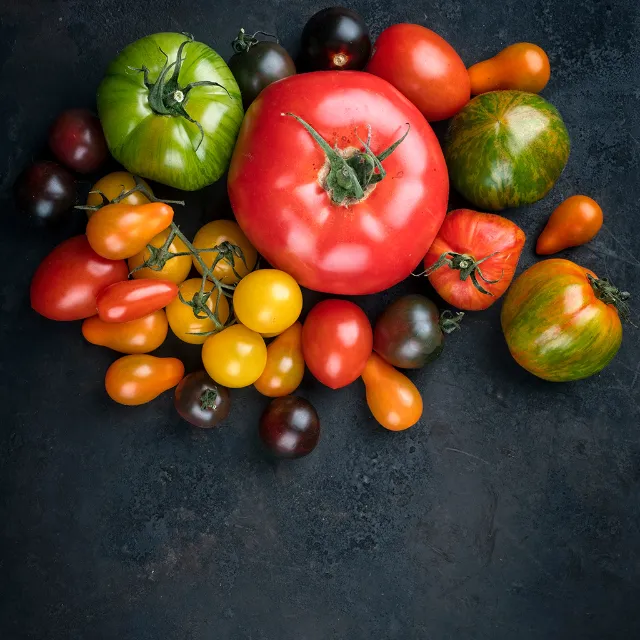 verschiedene Tomaten und unterschiedlichen Formen und Farben auf einem Schieferhintergrund